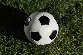 用户李女士使用体验